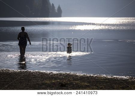 Early Morning On The Mountain Lake. Morning Misty Lake With Sunlight Reflections. Solar Glare On The