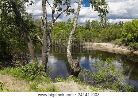 Beautiful Summer Landscape On The River Bank. Quiet River Flows Among The Wooded Riverbank Against T