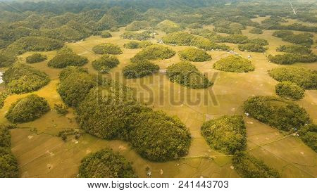 Amazingly Shaped Chocolate Hills On Sunny Day On Bohol Island, Philippines. Aerial View Chocolate Hi