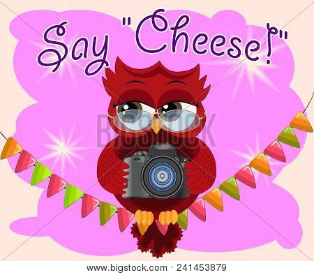 A Red Flirtatious Cartoon Owl Sits On A Garland Of Flags With A Camera And Photographs. Photographer