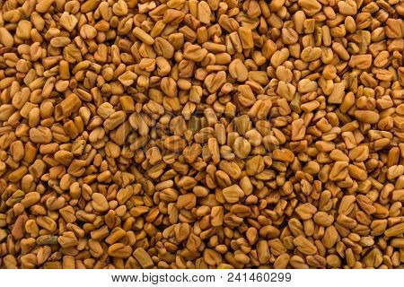 Fragrant Grains Of Fenugreek On A Rustic Background.