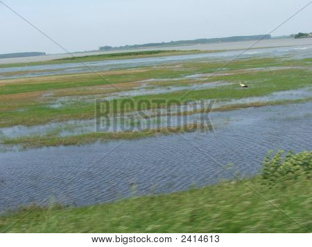 Haikara