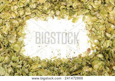 Border Frame Made Of Green Hop Leaves With Cut Out White Copy Space Within.