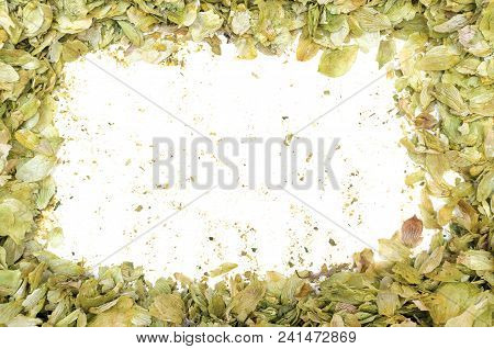 Border Frame Made Of Green Hop Leaves With Cut Out White Copy Space Within.