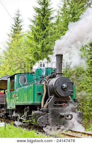 vapor de la locomotora, Museo de Kysuce village, Vychylovka, Eslovaquia