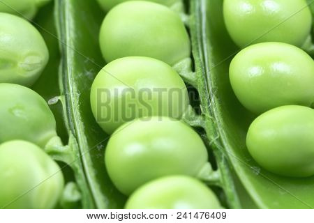 Green Peas Pods Macro Close Up Background. Horizontal Photo Of Many Peeled Pods With  Peas Inside Ly