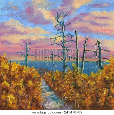 Forest On The Sea Shore. Green Foliage, High Trunks Of Pines, Colorful Clouds, Sunset Time. A Distan