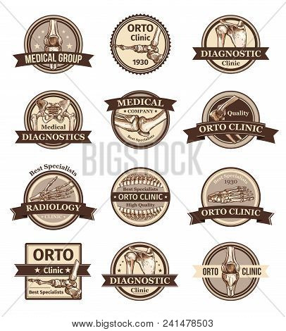 Set Of Vector Icons For Orto Clinic Or Clinical Group. Concept Of Human Biology, Bones And Articulat