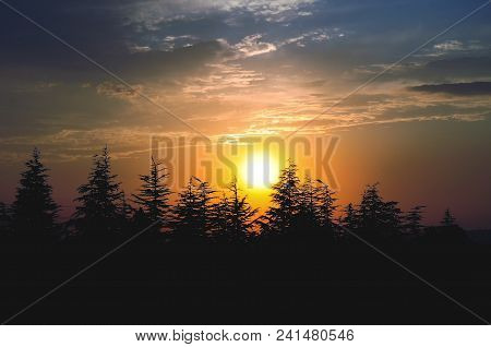 Sunlight And Tree, Sun And Sky, Sun And Clouds