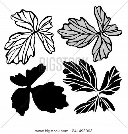 Beautiful Botanical Vector With Flowers Watershed. Black Silhouettes On White Background.