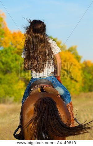 Vista posteriore della giovane donna in jeans blu a cavallo