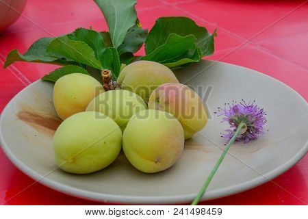 Fresh Apricot Fruits On White Ceramic Dish