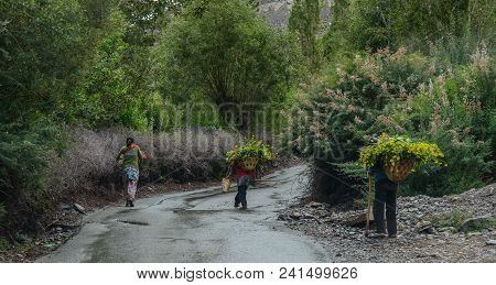Tibetan People Walking On Rural Road