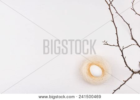 White Chicken Egg In Nest And Branch Isolated On White Background With Copy Space. Flat Lay, Top Vie
