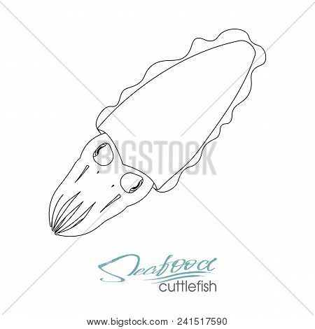 Squid Seafood Isolated Sketch. Sea Animal, European Squid With Pink Tentacles And Mantle. Seafood, F