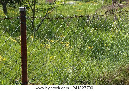 Metal Mesh Fencing / Metal Mesh For Garden