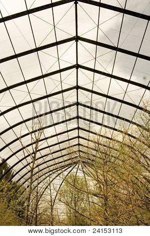 Conservatory Ceiling