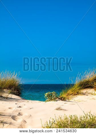 Dune With Beachgrass In Tarifa, Costa De La Luz, Spain, Europe