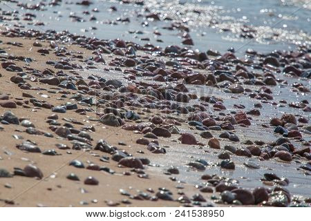 Beautiful Smooth Sea Stones In The Sands Of The Beach. Closeup Photo Of Stone Textures And Shapes.