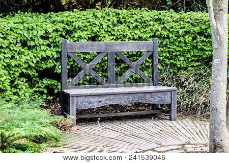 A Garden Wooden Beanch In English Garden With Green Bush And Woden Floor.