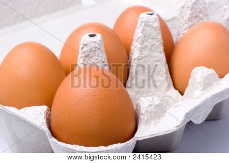 Egg