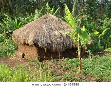 Piccola baracca vicino Monti Rwenzori