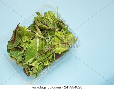Fresh Spinach Leaves And Green Arugula Salad Rocket, Arugula In Container On Blue Table