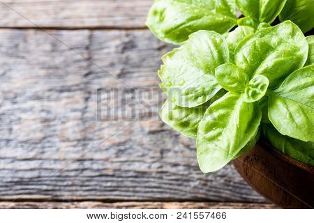 Fresh Basil In A Bowl Of Wood On A Rustic Table