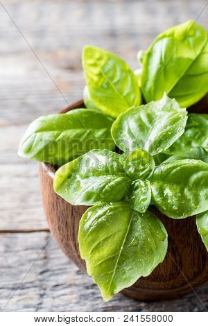 Fresh Basil In A Bowl Of Wood On A Rustic Table