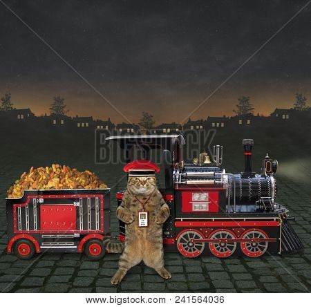The Train Is Loaded With Feed For Pet. The Cat Railman Stands Next To It.