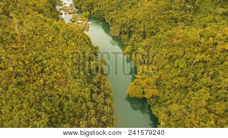 Aerial View, River In The Rainforest Among The Jungle Tropical Loboc River In The Rain Forest In Asi