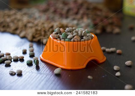 Plastic Bowl With Dry Pet Food On Black Wooden Board