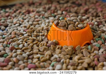 Orange Plastic Bowl Filled With Dry Pet Food Surrounded By Dry Food For Cat And Dogs