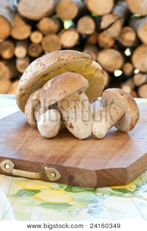 Automne Fruits des bois