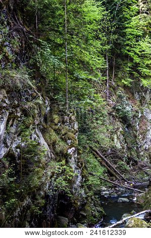 Iew Of Kamianka River (a Right Tributary Of The Opir River) Near The Kamianetskyi Waterfall, Nationa
