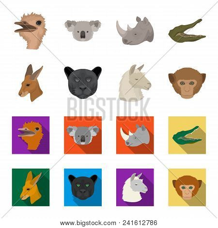 Kangaroos, Llama, Monkey, Panther, Realistic Animals Set Collection Icons In Cartoon, Flat Style Vec