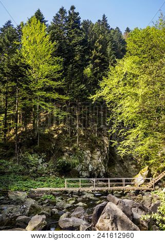 View Of Kamianka River (a Right Tributary Of The Opir River) Near The Kamianetskyi Waterfall, Nation