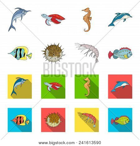 Shrimp, Fish, Hedgehog And Other Species.sea Animals Set Collection Icons In Cartoon, Flat Style Vec