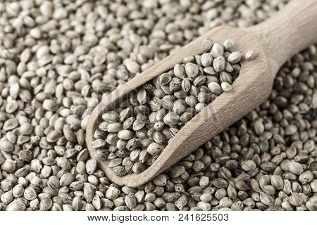 Hemp Seeds Are Scattered As A Background, On Top Lies A Rustic Wooden Spoon