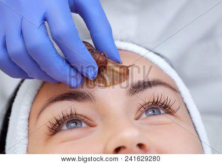 Cosmetological Procedure. Beautiful Young Woman With A Snail Ahatin On Her Face In A Beauty Salon.