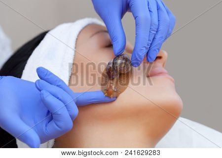 Cosmetological Procedure. Beautiful Young Woman With A Snail Ahatin On Her Face In A Beauty Salon.