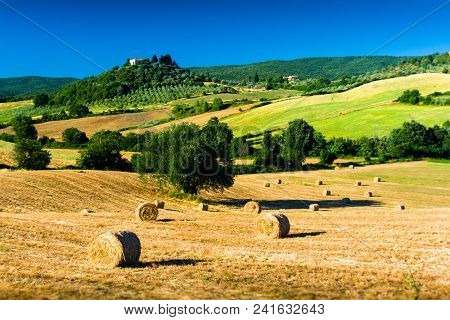 Haycock And Trees In Sunny Tuscan Countryside Near Massa Marittima, Italy