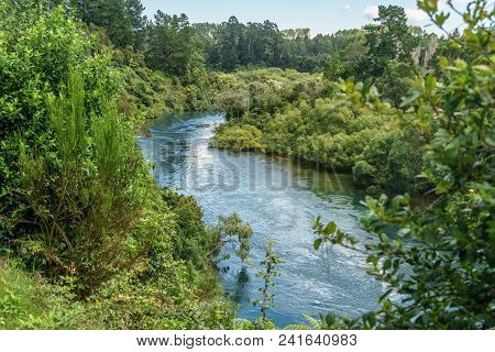 Green Trees On Blue River Bank On Sunny Day, Huka Falls, New Zealand