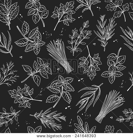 Seamless Pattern With Hand Drawn Sketch Herbs And Spices For Farmers Market Menu Design. Vector Back