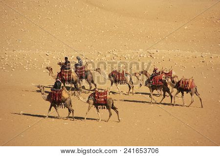 Bedouins Riding Camels On Giza Plateau, Cairo, Egypt