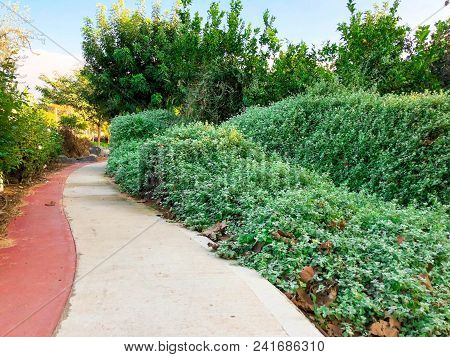 Spring Landscape. Green Branches Of Spring Park Trees And Booths On A Spring Day. A Green Park With 