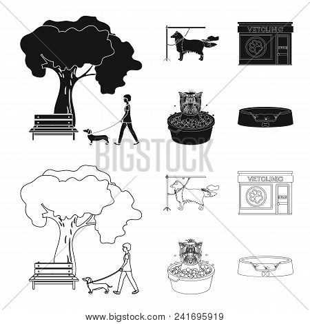 Walking With A Dog In The Park, Combing A Dog, A Veterinarian Office, Bathing A Pet. Vet Clinic And 