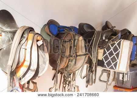 Wall Of Saddlery Filled With Horse Equipment