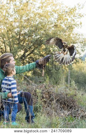 Man Teaches Boy The Art Of Falconry With A Hawk