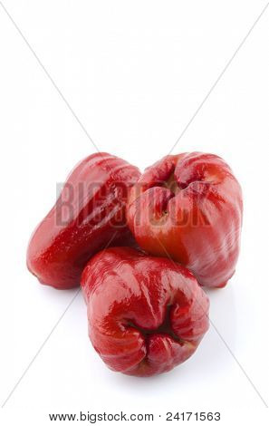 ผลไม้ไทยกุหลาบแอปเปิ้ลหรือชมพู่บนพื้นหลังสีขาว